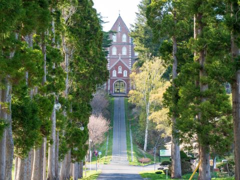 貸切観光タクシー 函館市内発着桜の名所松前城・日本初男性トラピスト修道院 ・男爵記念館・ 福島千代の富士記念館＜通年／函館市内発＞ by 道南ハイヤー