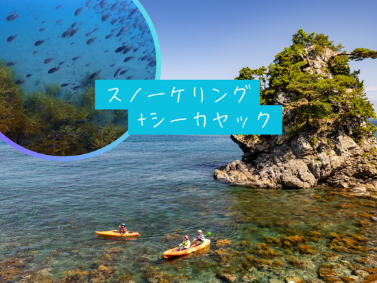 佐渡島 スノーケリング＆シーカヤックツアー虫崎海を存分に満喫しよう！＜6時間／2～4名＞