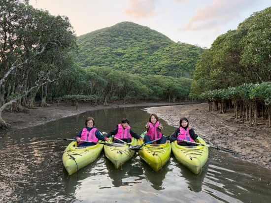 奄美大島【マングローブカヌー】ガイドツアーでしかめぐることのできない水路をご案内！撮影データプレゼント！お一人様も可能 by 奄美シーランド