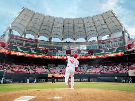 【2025/4/2～6/22期間限定】台湾プロ野球・味全龍ドラゴンズ観戦ツアー 　チアガール特典付きプランあり！＜天母野球場または台北ドーム／日本語ガイド＞ 