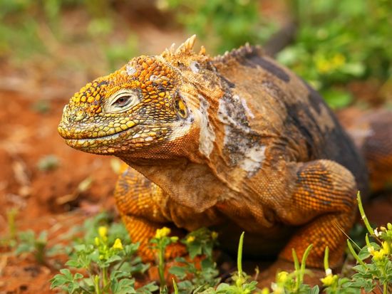 AdobeStock_105402128