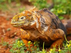 AdobeStock_105402128