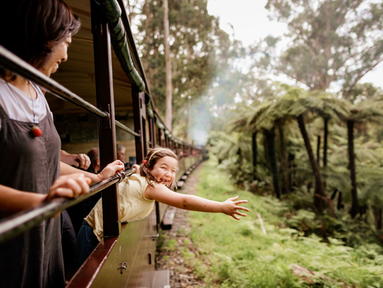 Dandenong Ranges views