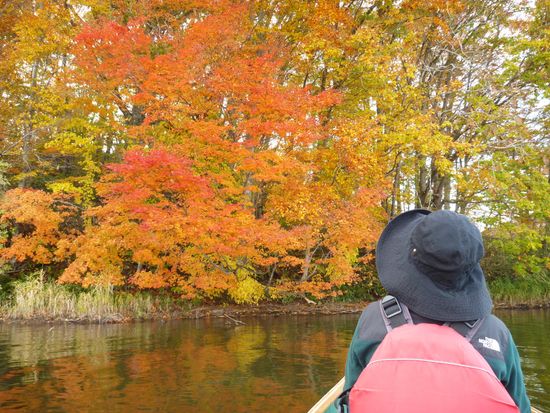 Exanderカヌー (7)