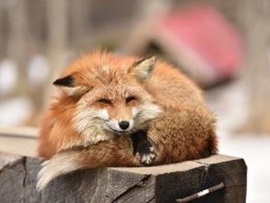 web_ImageView3 (14)
