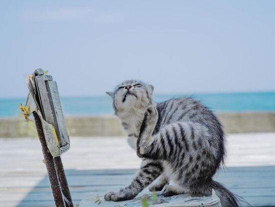 web_ImageView3 (12)