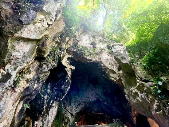 z5638184644182_1a49132baada074f551fe4fe4ca7d359