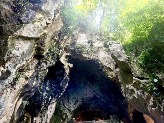 午後発ダナン名所満喫ツアー　リンウン寺＋五行山＋ハン市場＋ダナン大聖堂＋ハン川ナイトクルーズ＜バインミー付き／英語または日本語ガイド＞