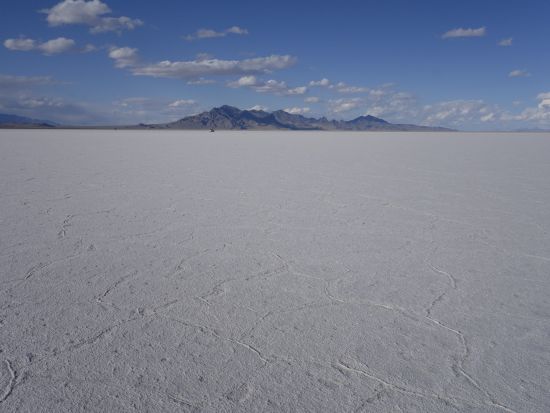 ボンネビル塩湖日帰りツアー　白い大地でトリックフォト撮影を堪能＜日本語ドライバーガイド／ソルトレイクシティ発＞
