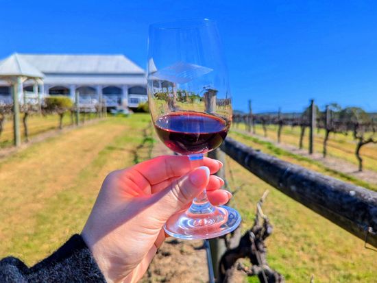 Albert River Wines2