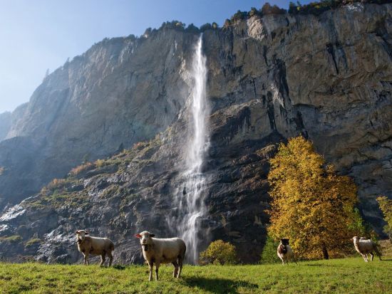 アルプス麓の村 グリンデルワルト＆インターラーケン＆ラウターブルンネン　日帰り観光ツアー ＜英語ガイド／チューリッヒ発＞