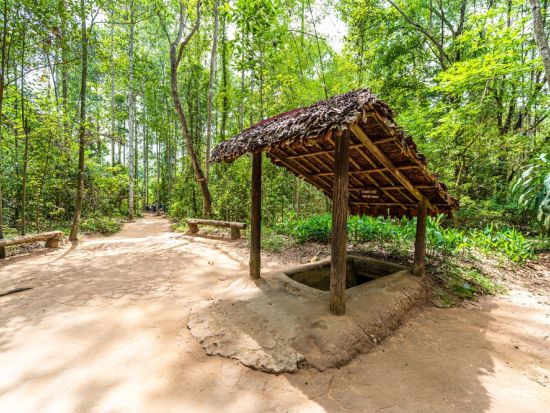 メコン川クルーズ＋クチトンネル＋ルーフトップバスで巡るホーチミン市内観光ツアー　ホアトゥック夕食付きプランあり＜日本語ガイド／象耳魚の昼食＞