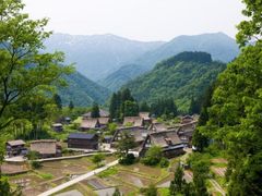image_01 (1)