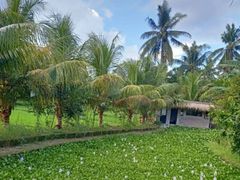 Bonjeruk_4