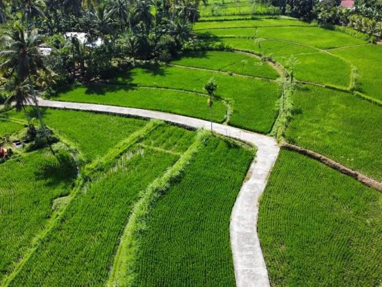 ロンボク島郷土文化体験ツアー 田園ウォーク＋ワークショップ＋サイクリング＜英語ガイド／ホテル送迎＞