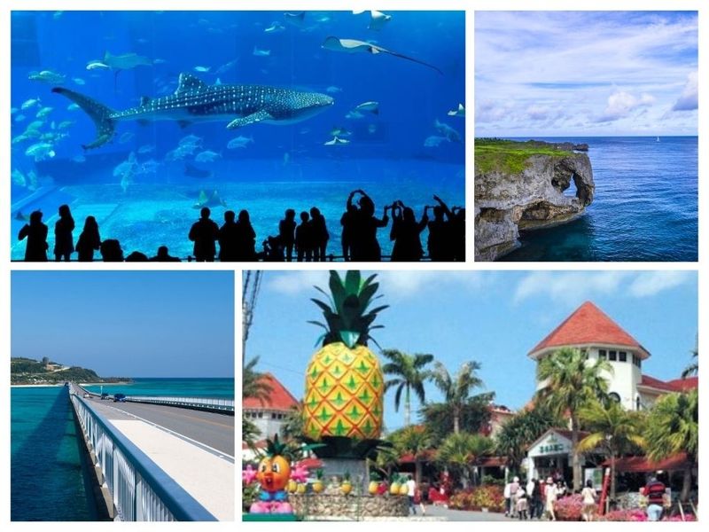 Okinawa Day Tour to Churaumi Aquarium, Cape Manzamo and Nago Pineapple Park