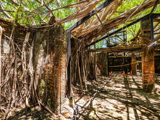 Tainan_Anping Treehouse_AdobeStock_678037885