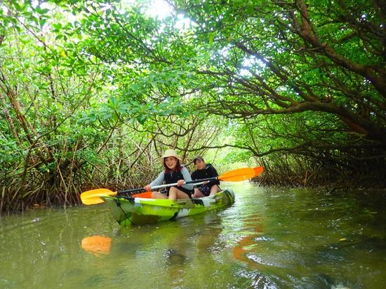 ダウンロード-2023-10-01T125437.244