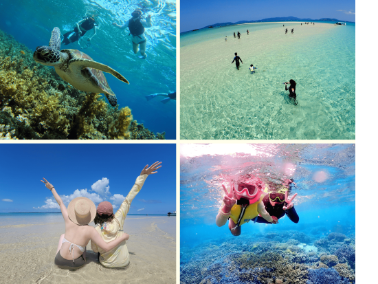 幻の島上陸 + トロピカルシュノーケル ＆ 青の洞窟探検・ウミガメビーチ シュノーケル＜1日／市街地送迎／石垣島発＞ 