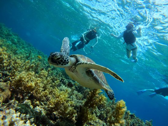 幻の島上陸+ウミガメorマンタ遠征シュノーケル／レンタカーでお越しの方はレンタルGoPro無料＜市街地送迎／石垣島発＞