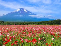 pixta_66639497_M