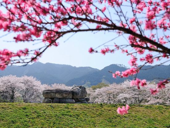 6OJXA_1b01495e-0769-4267-88fb-b3dea4fb4d6e