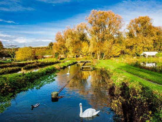 Cotswolds_Bibury TroutFarm_shutterstock_1341086468