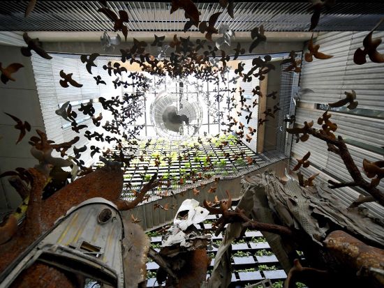 ハノイ歴史探訪ツアー　軍事歴史博物館＆ホアロー収容所を見学 ＜英語または日本語ガイド＞