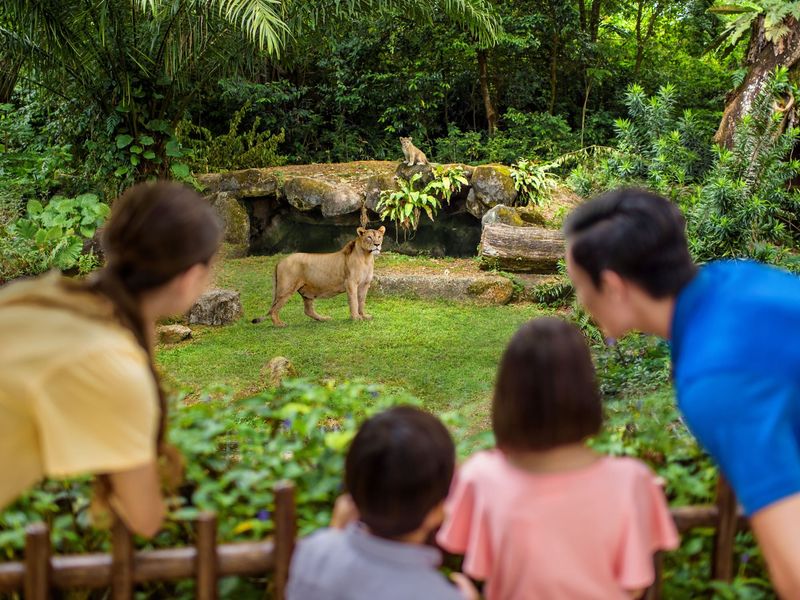 singapore zoo3