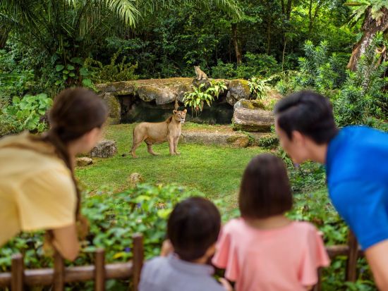 シンガポール動物園＆ナイトサファリ入場チケット　アニマルショーと夜の冒険を一日で！＜午後発／夕食付プランあり／日本語ガイド＞