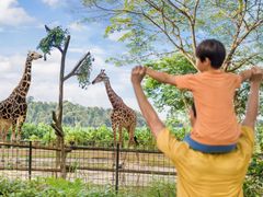 singapore zoo5