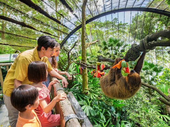シンガポール動物園＆ナイトサファリ入場チケット　アニマルショーと夜の冒険を一日で！＜午後発／夕食付プランあり／日本語ガイド＞