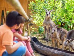 singapore zoo