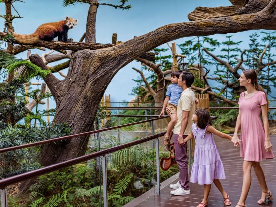 リバーワンダー＆ナイトサファリ入場チケット　可愛いパンダの後は夜の動物園へ！＜午後発／日本語ガイド／夕食付プランあり＞