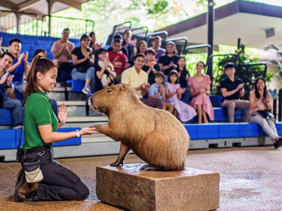 Once Upon a Time Presentation