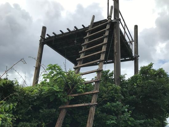 4538C3CC-7728-4BC7-826E-98C82B1F4CEF_1_105_c