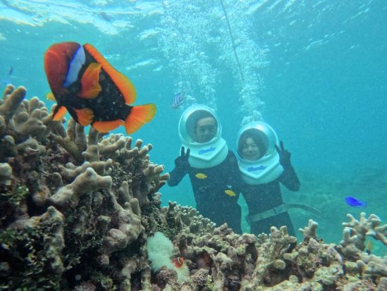 シーウォーカーツアー  泳げなくてもOK！ボートで行く熱帯魚と海中散歩＜写真データ無料付き／約1.5時間／2～4名／10歳～／石垣島＞