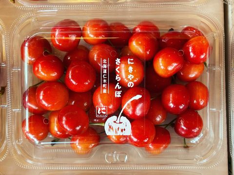 さくらんぼ狩り 佐藤錦ほか約8品種が食べ放題！屋根付きで雨の日でも楽しめる（6/21～7/31）＜お土産100g付／1時間／仁木町南町＞
