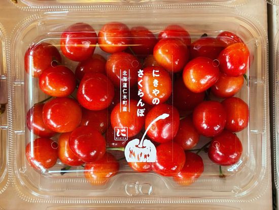 さくらんぼ狩り 佐藤錦ほか約8品種が食べ放題！屋根付きで雨の日でも楽しめる（6/21～7/31）＜お土産100g付／1時間／仁木町南町＞