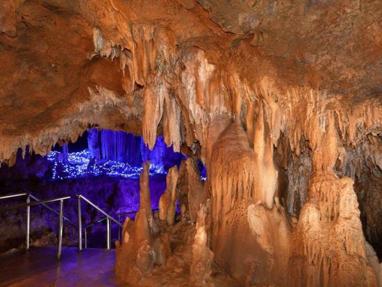 石垣島一周定期観光バス　川平湾や玉取崎展望台など島の名所をバスガイドの案内でひと巡り！眺めの良いレストランでランチ付き！＜空港途中降車可／石垣島＞