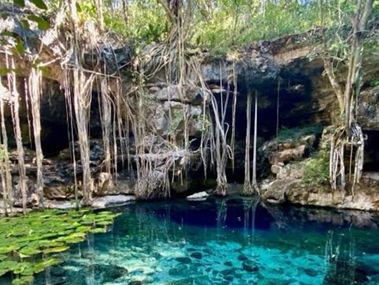 セノーテSan Antonio mulix写真