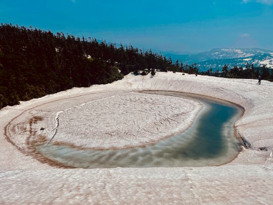 【ベルトラ限定】1日プライベートネイチャーガイドツアー　ベテランガイド1日貸切！世界遺産白神山地や十和田・八幡平国立公園など満喫＜通年/8時間/青森市内発着＞