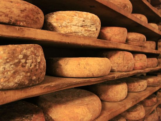 food-cheese