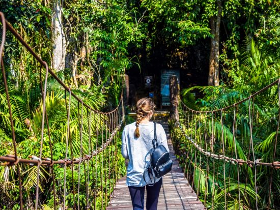 世界遺産カオヤイ国立公園日帰りツアー　タイ最大の国立公園で自然トレイルを満喫 ＜英語ガイド／バンコク発着＞