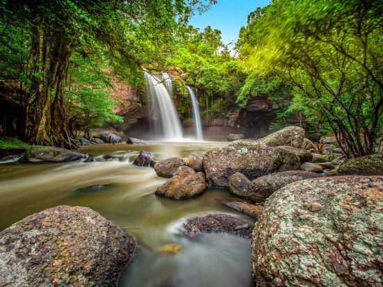 世界遺産カオヤイ国立公園日帰りツアー　タイ最大の国立公園で自然トレイルを満喫 ＜英語ガイド／バンコク発着＞