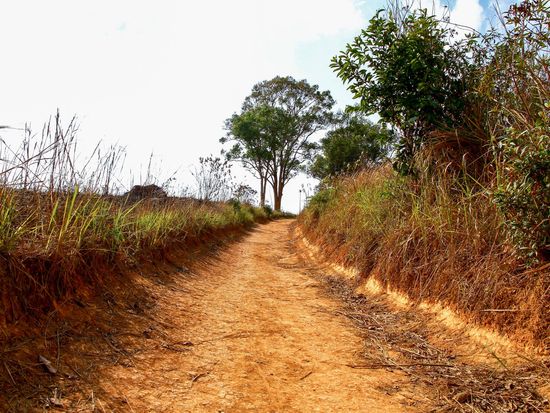 KM 33 (Nong Phak Chi Nature Trail)