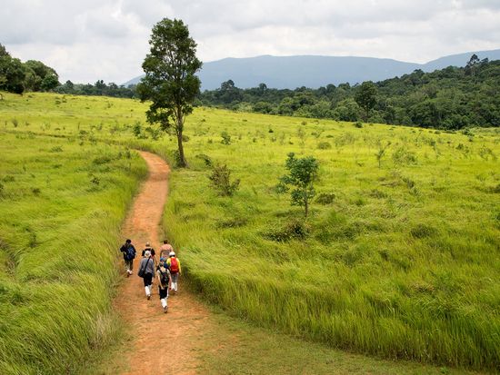 Khao Yai National Park (1)