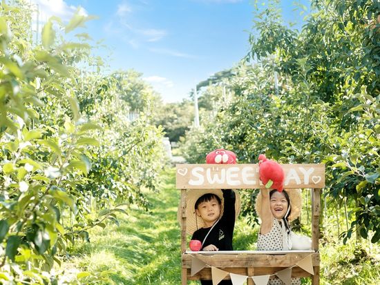 Apple Farm 2