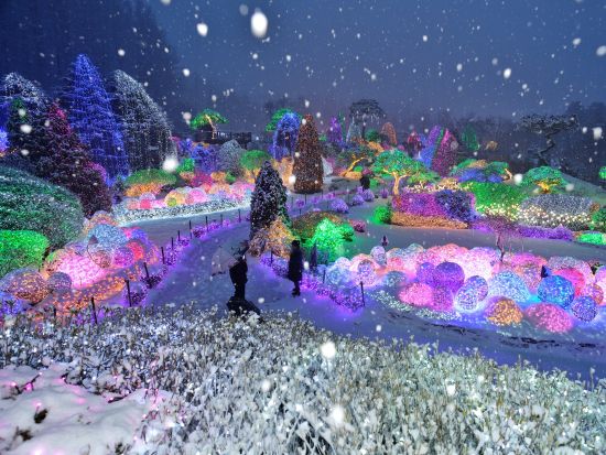 ソウル郊外自然満喫ツアー　ポチョンアートバレー＋果物ファーム＋モーニングカルム庭園など季節のおすすめ訪問地＜1名参加OK／選べる出発地／英語ガイド＞