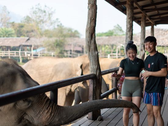 カンチャナブリー日帰りツアー　エレファントワールドで象とふれあい＆エラワン滝観光 ＜英語ドライバー／バンコク発着＞